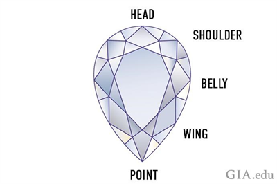 Illustration of the Pear Shape diamond anatomy